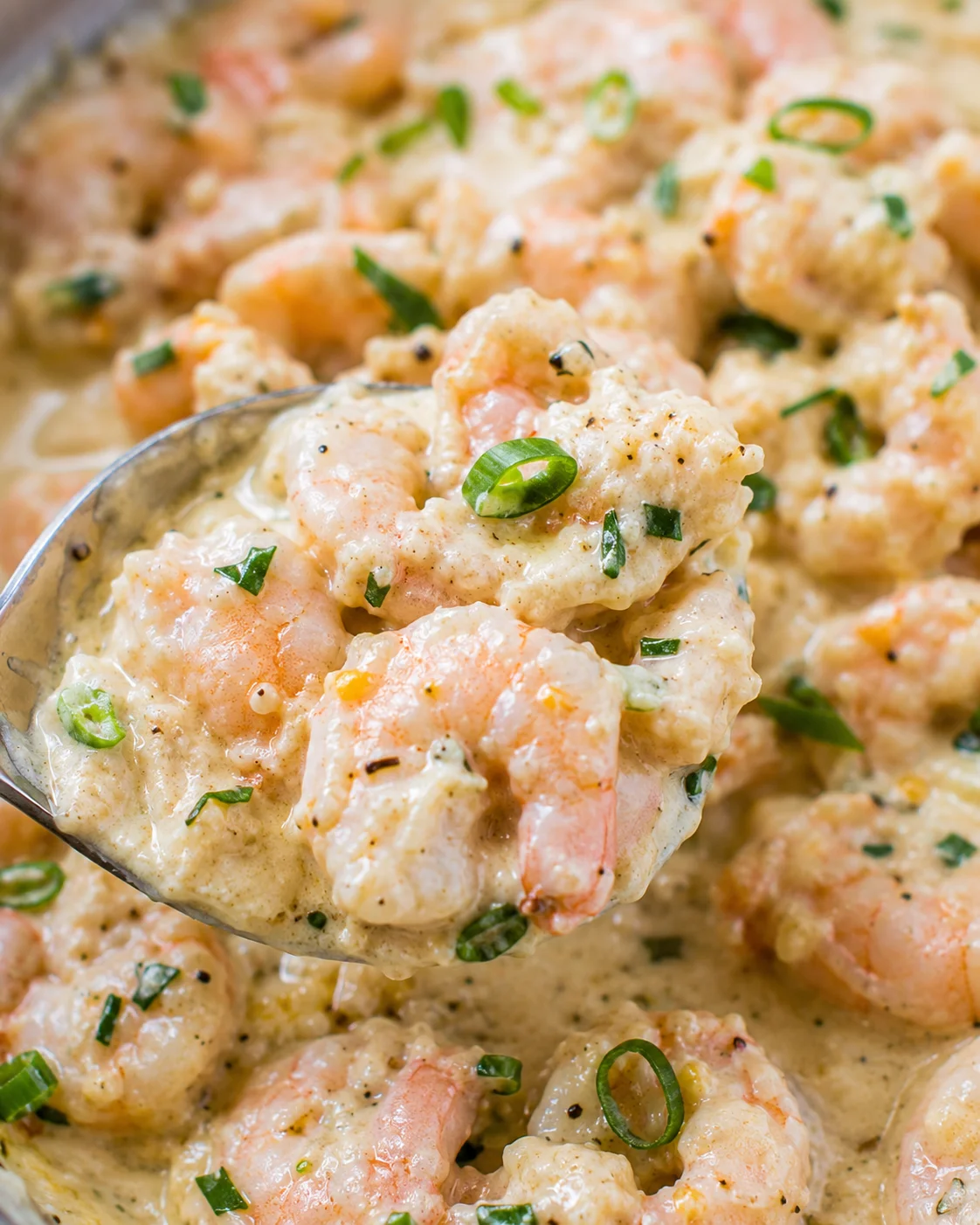 Creamy Garlic Parmesan Shrimp Close-up of creamy garlic Parmesan shrimp garnished with green onions