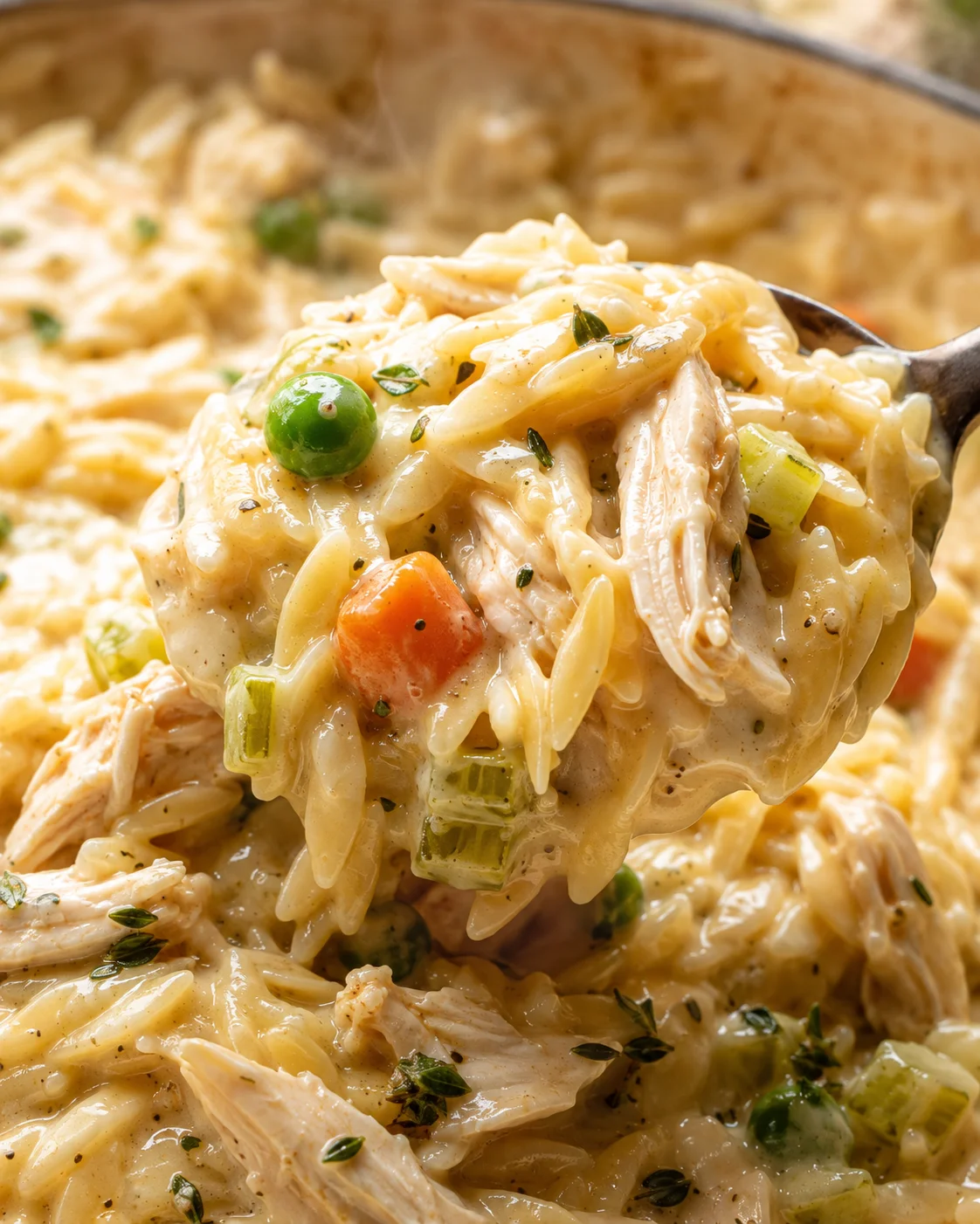 Close-up of creamy chicken pot pie orzo with vegetables and shredded chicken on a spoon